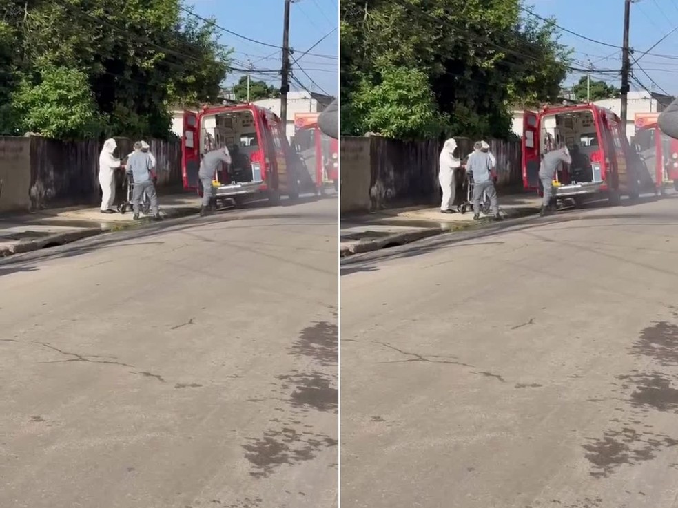 Bombeiros resgatam homem inconsciente após ser atacado por enxame de abelhas — Foto: g1