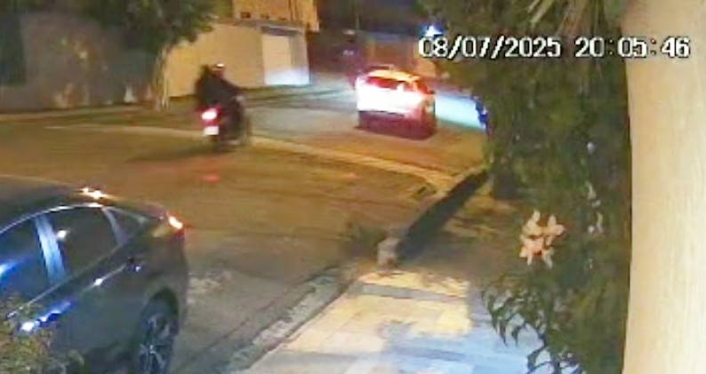 VÍDEO: cachorro é levado durante roubo de carro em Limeira