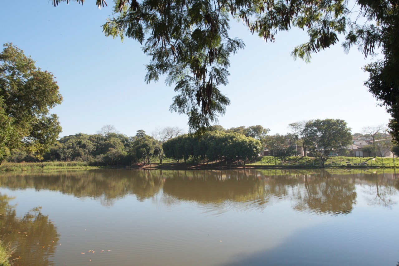 Você Não Tá Convidada pro Meu Bat Mitzvá!