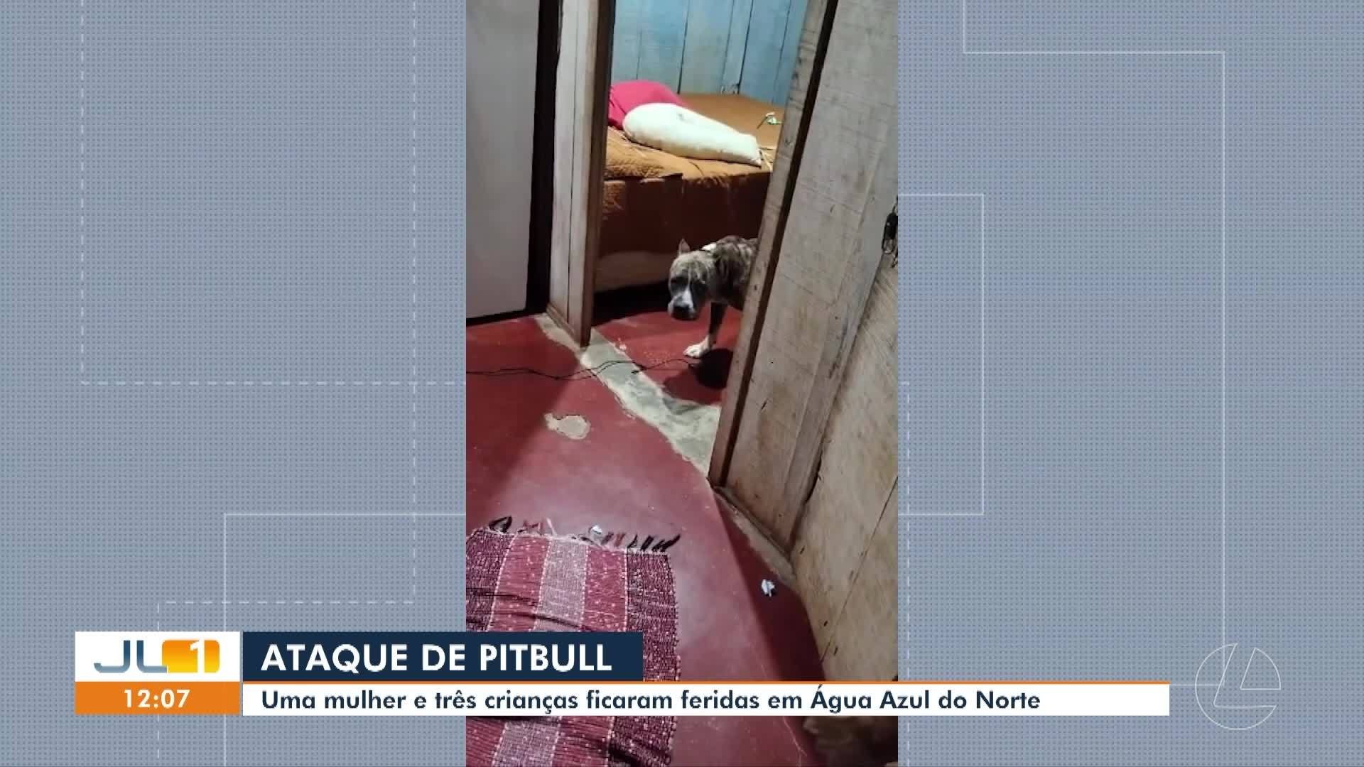 VÍDEOS: JL1 de terça-feira, 19 de maio de 2026
