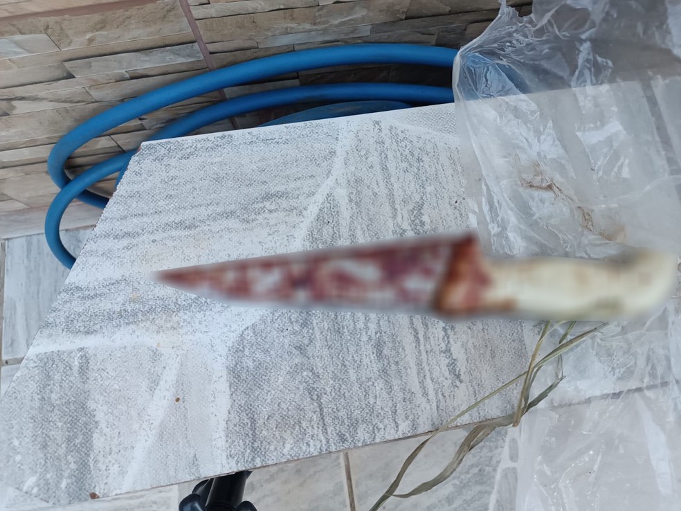 Homem mata cachorra com golpe de faca após ser atacado, em Presidente Prudente (SP) — Foto: Polícia Civil