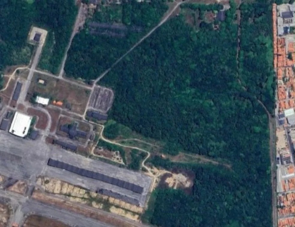 Floresta em torno do Aeroporto de Fortaleza foi alvo de discussão no novo Plano Diretor — Foto: Reprodução
