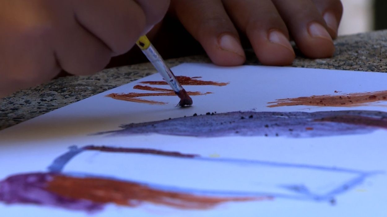 Escolas rurais usam abelhas, tintas naturais e aves ameaçadas para ensinar conservação