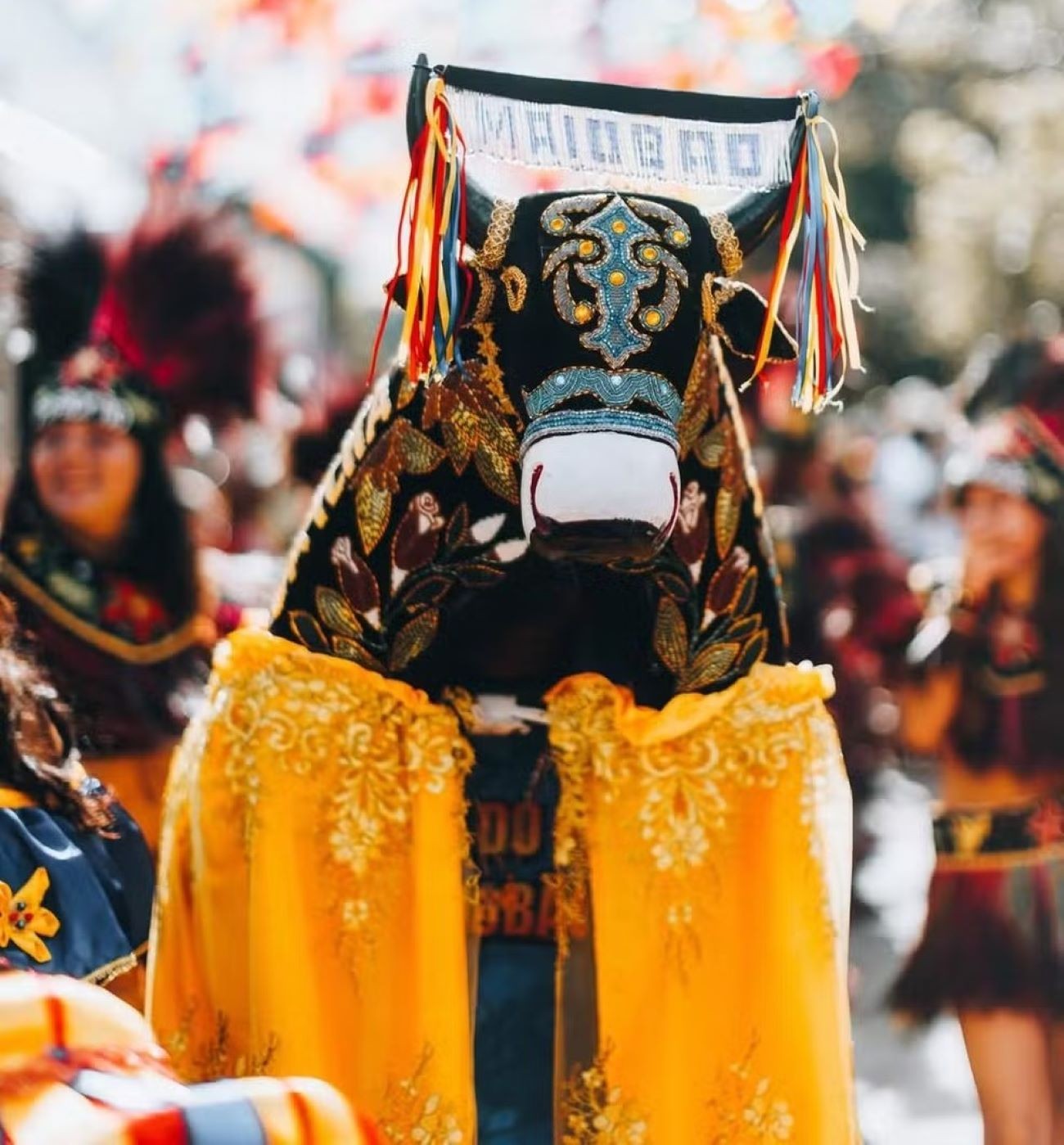 Bumba Meu Boi do Maranhão será certificado como Patrimônio Cultural da Humanidade