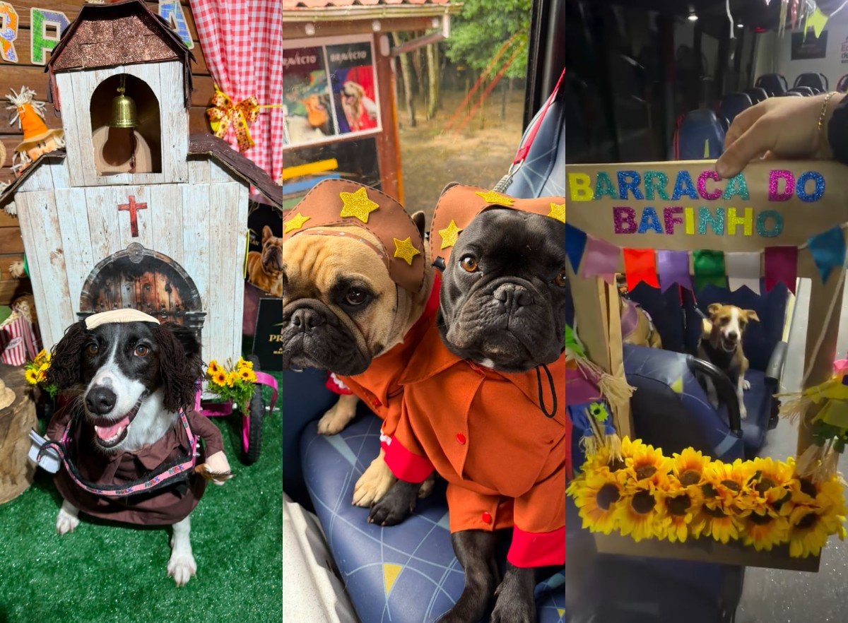 Barraca do 'bafinho' e Lampião e Maria Bonita: creche de pets faz arraiá com 'cãocurso' de fantasia