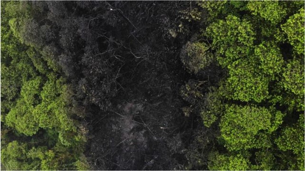 Pesquisas mostram que maioria dos equatorianos é a favor do "sim" para interromper produção de petróleo em parte do Parque Nacional Yasuni — Foto: Getty Images via BBC