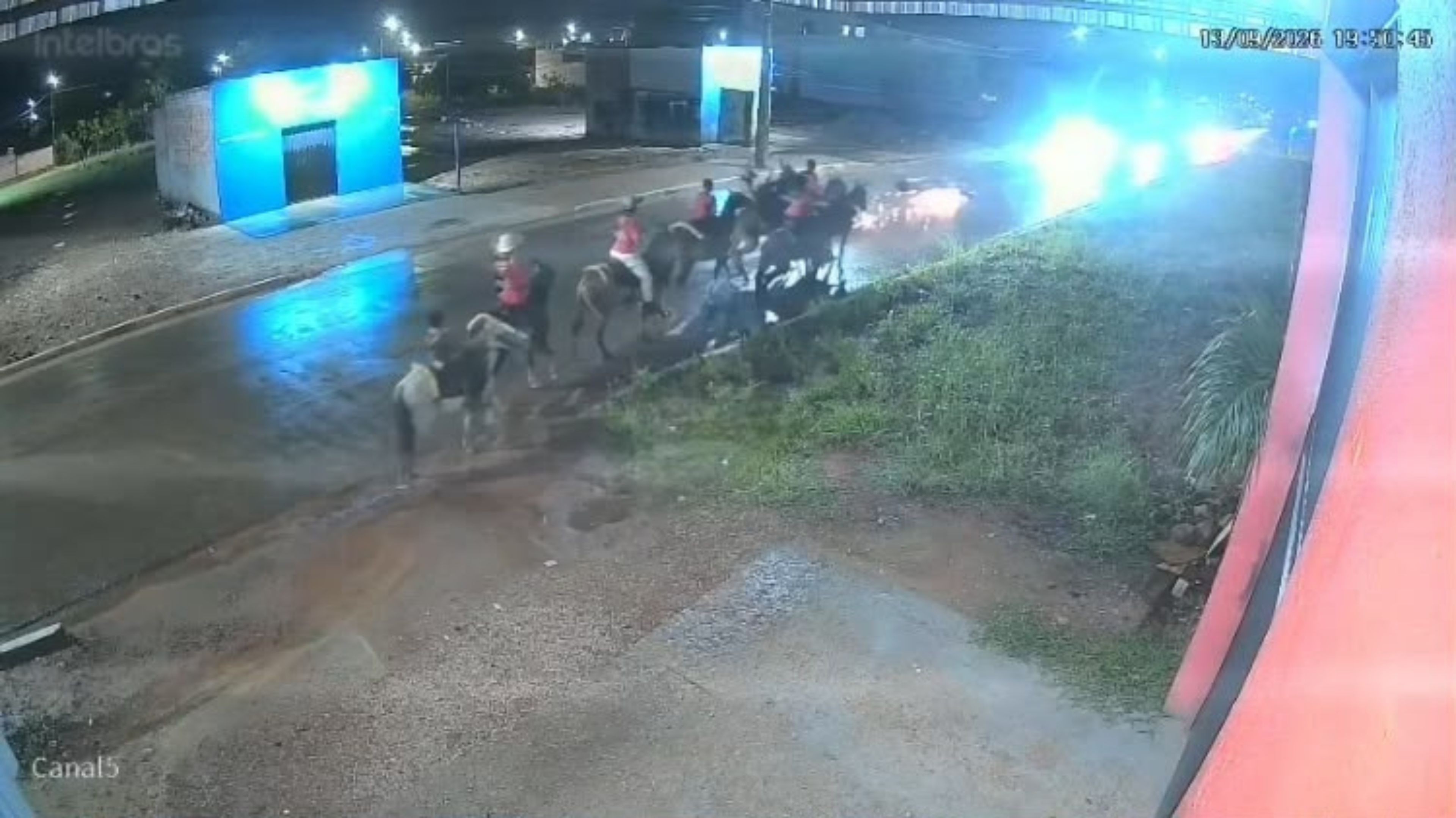 VÍDEO: Motociclista morre após bater em cavalos e ser atropelado por carro em Porto Velho