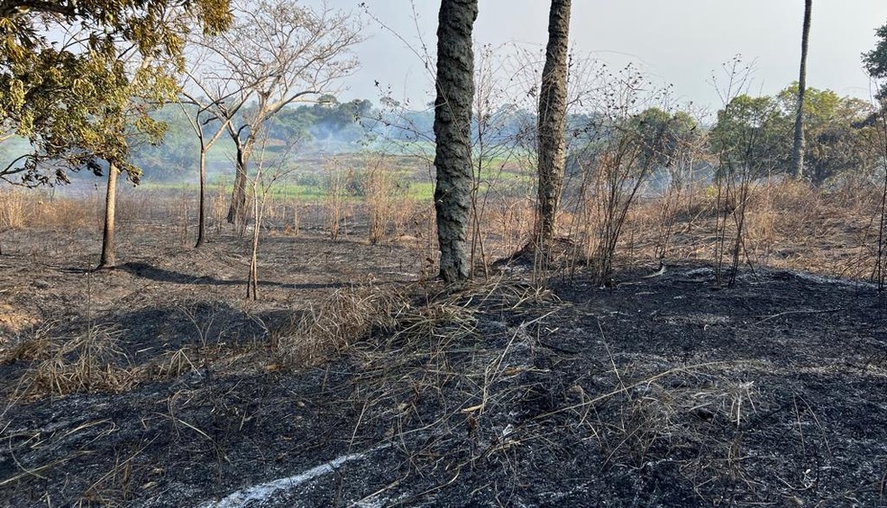 Crimes estavam sendo praticados na Região Metropolitana de Manaus. — Foto: Divulgação/PF