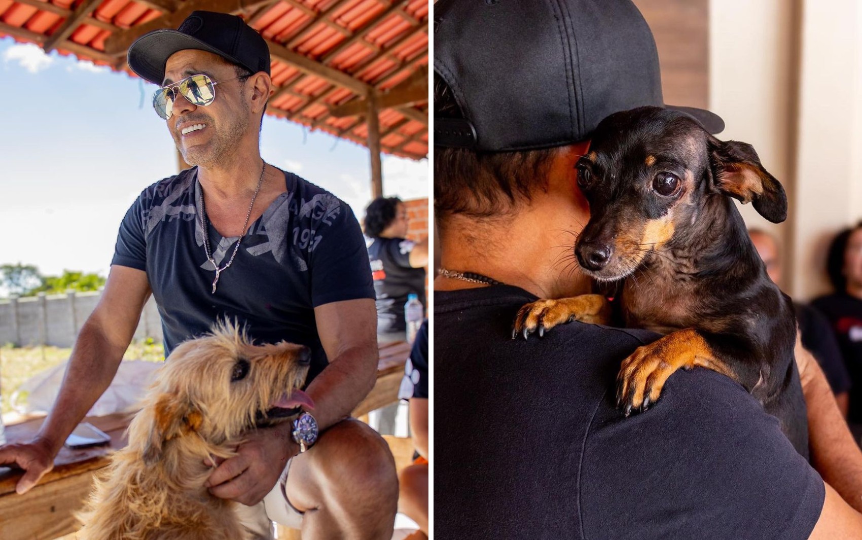 Zezé Di Camargo adota cachorros abandonados após um ser baleado e outro levar facada no focinho