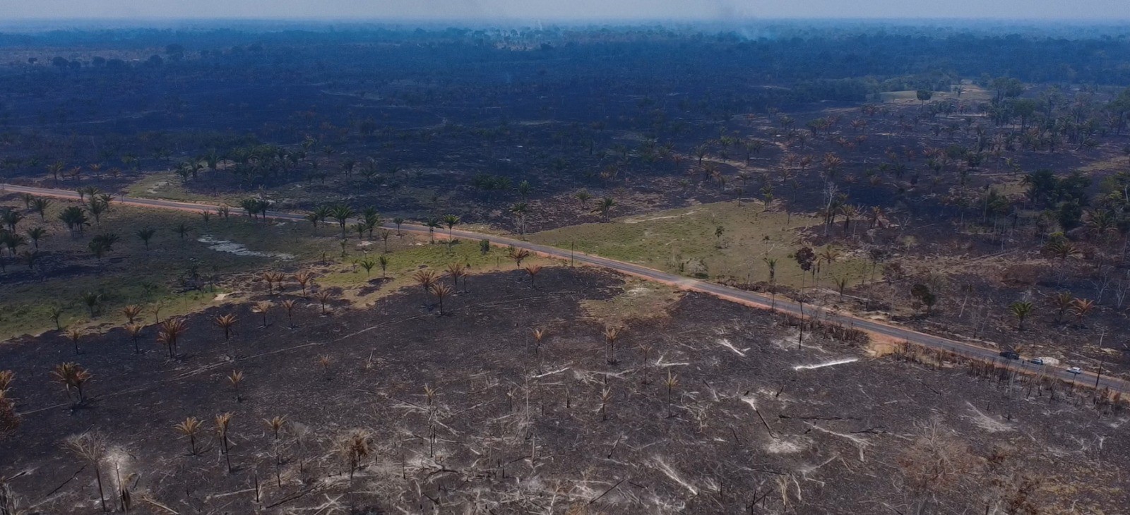 Imagens revelam área do distrito de Autaz Mirim, em Careiro da Várzea, completamente destruída pelo fogo — Foto: Alexandro Pereira/Rede Amazônica