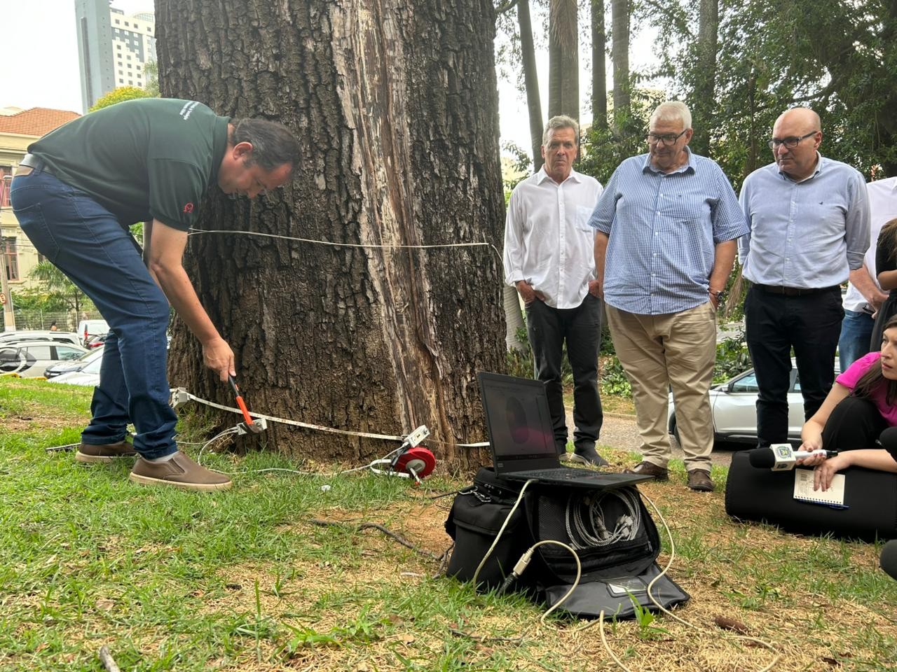 Para evitar tragédias, Campinas implanta tomógrafo e prevê mapear árvores com maior risco em até 6 anos