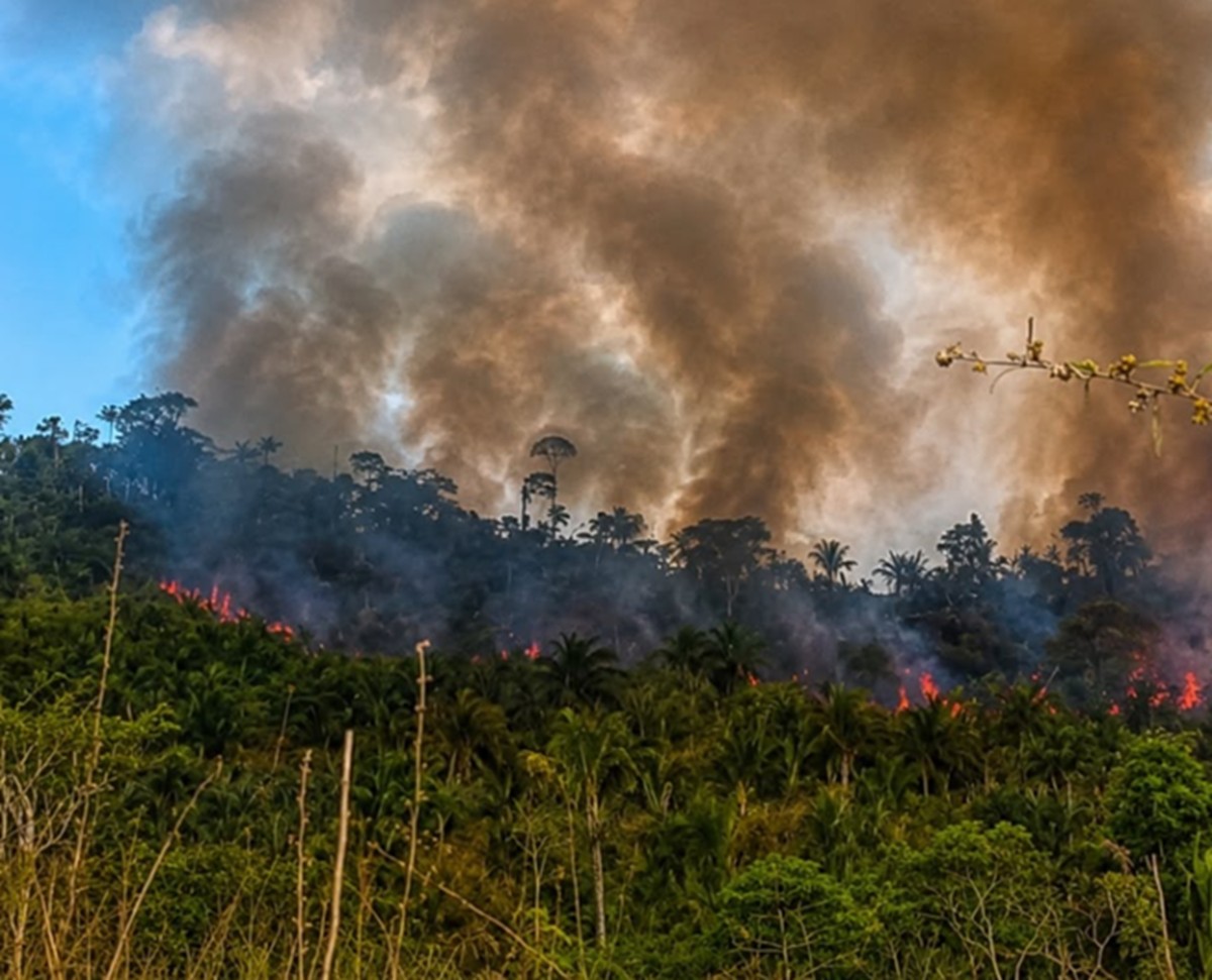 Incêndio atinge Terra Indígena Apyterewa, no Pará
