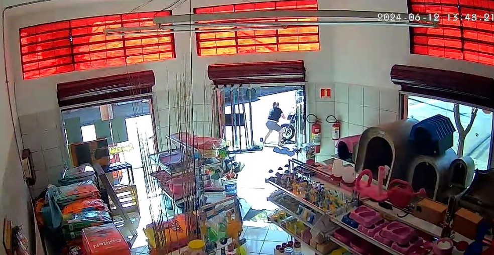 Ladrão conseguiu levar aliança e R$ 60 em dinheiro durante assalto a pet shop em Ribeirão Preto — Foto: Câmera de segurança