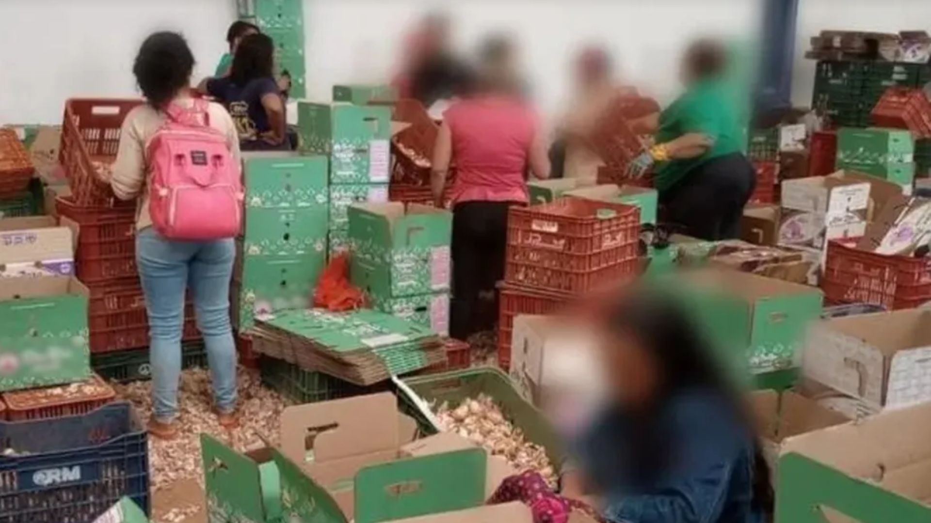 Justiça mantém multas a produtor rural que tentou esconder 101 trabalhadores em ônibus durante fiscalização