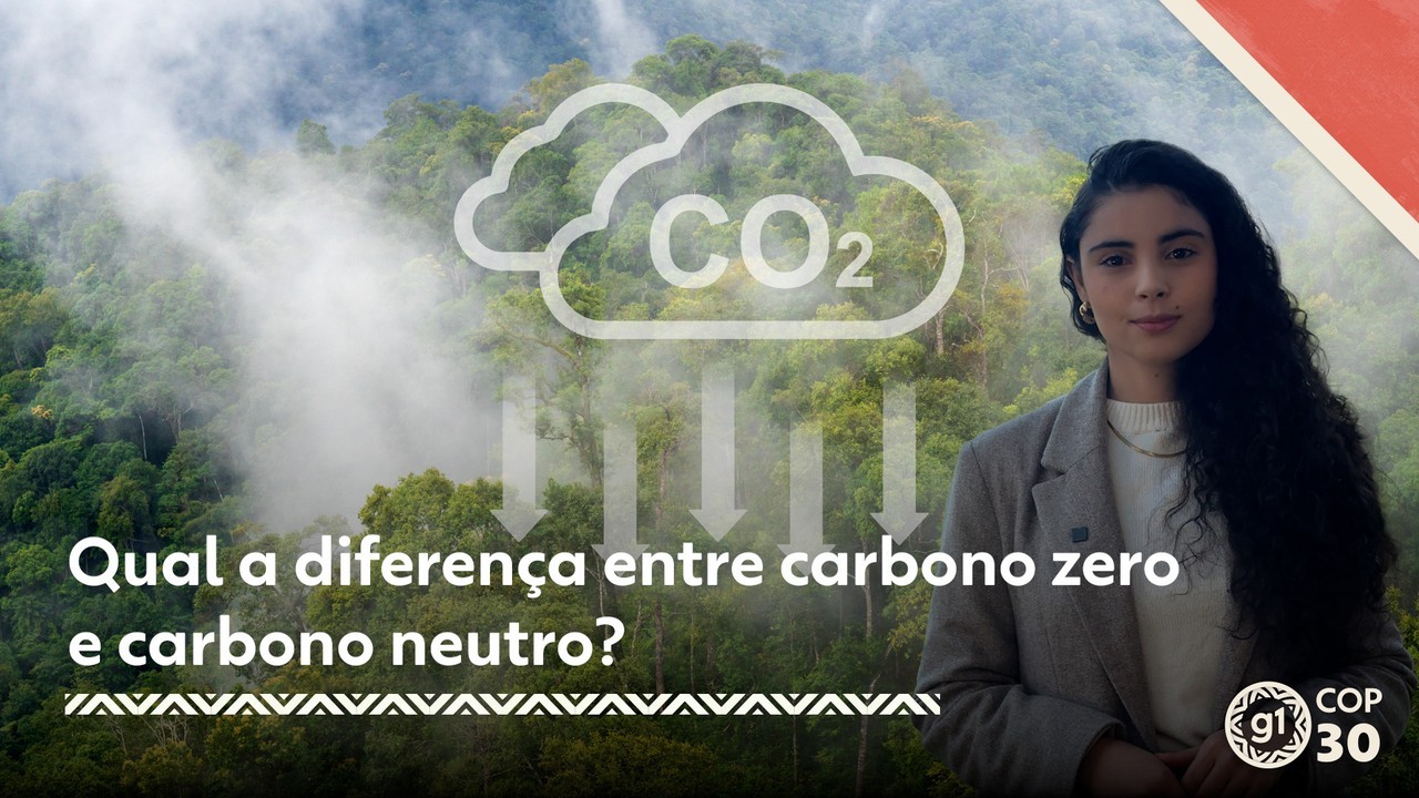 Você sabe qual a diferença entro e carbono neutro e carbono zero? Entenda