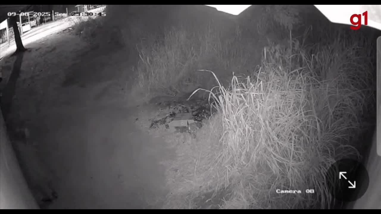 VÍDEO: Homem arromba janela de loja para furtar, mas é surpreendido pela PM em MG