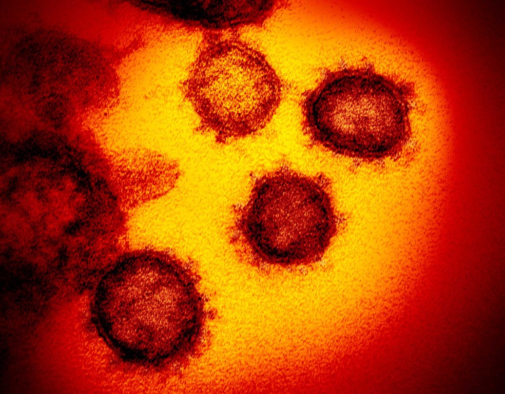 Jogo 'Prevenção Coronavírus' é criado em Uberaba para