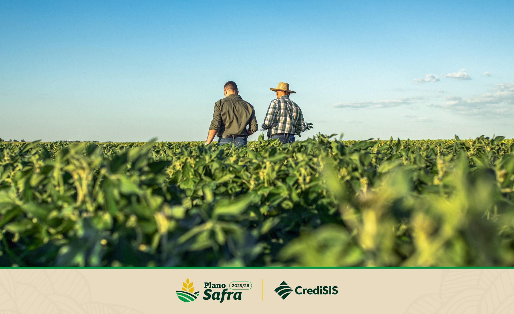 CrediSIS impulsiona o agro com crédito rural sob medida no novo Plano Safra