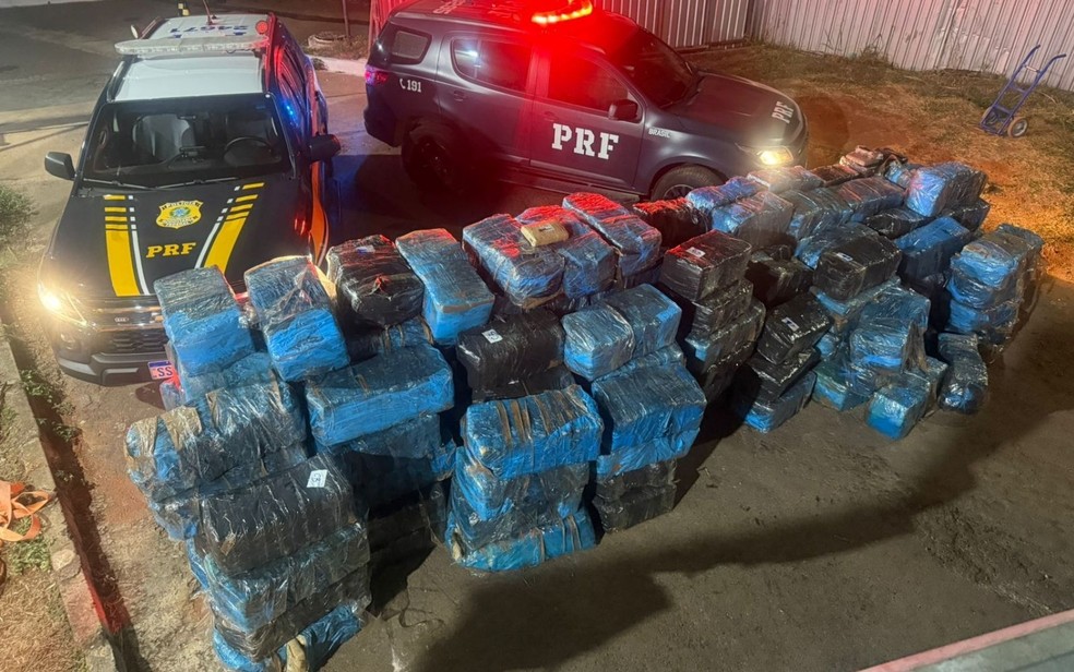 Mais de 3,7 toneladas de skuk foram apreendidas pela Polícia Rodoviária Federal do DF em Cristalina, no Entorno do Distrito Federal — Foto: Divulgação/PRF-DF