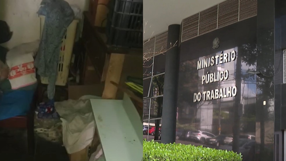 A fiscalização foi feita pelo Ministério do Trabalho e Emprego em conjunto com o Ministério Público do Trabalho e a Polícia Federal. — Foto: Reprodução/TV Globo