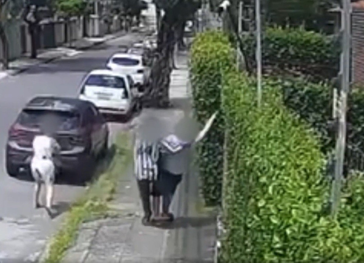 Idoso leva rasteira e cai de costas no chão durante assalto na Zona Norte do Recife; VÍDEO