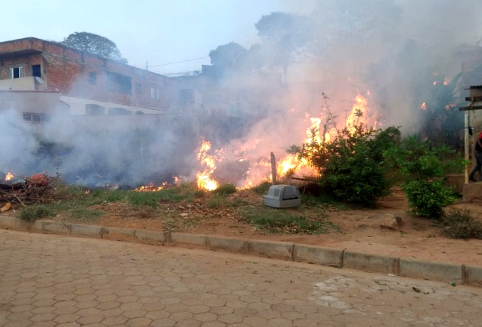 Jovem suspeito de causar incêndio criminoso em terreno é preso em São Gonçalo do Sapucaí, MG