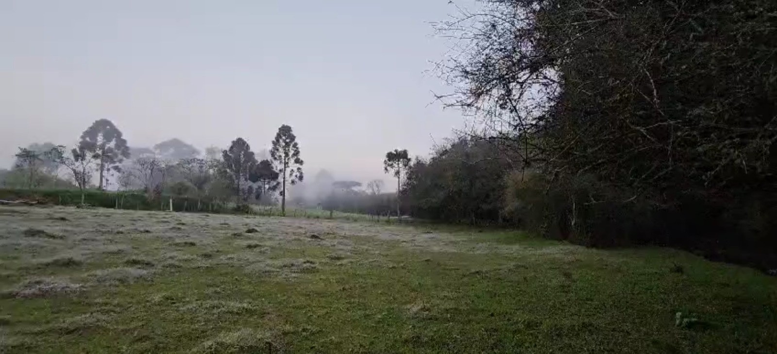 RS registra temperaturas negativas e geada; veja imagens