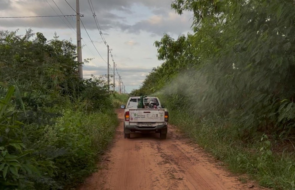 Piauí confirma a primeira morte por dengue em 2025; Sesapi reforça ações de combate no Sul do estado — Foto: Divulgação