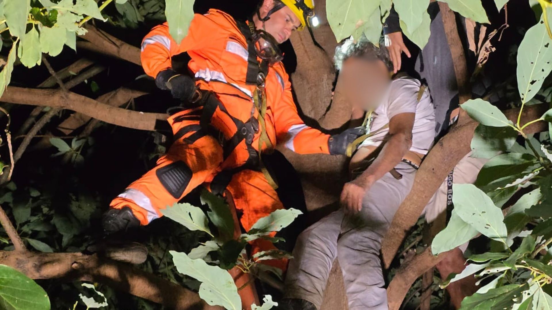 Idoso fica preso em 'pé de goiaba' a quase 7 metros de altura e é resgatado pelos bombeiros em MG
