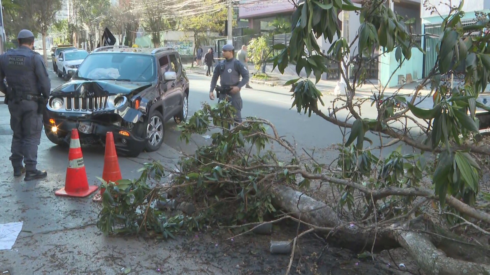 Motorista embriagada colide com carro e derruba árvore na Vila Mariana, Zona Sul de São Paulo
