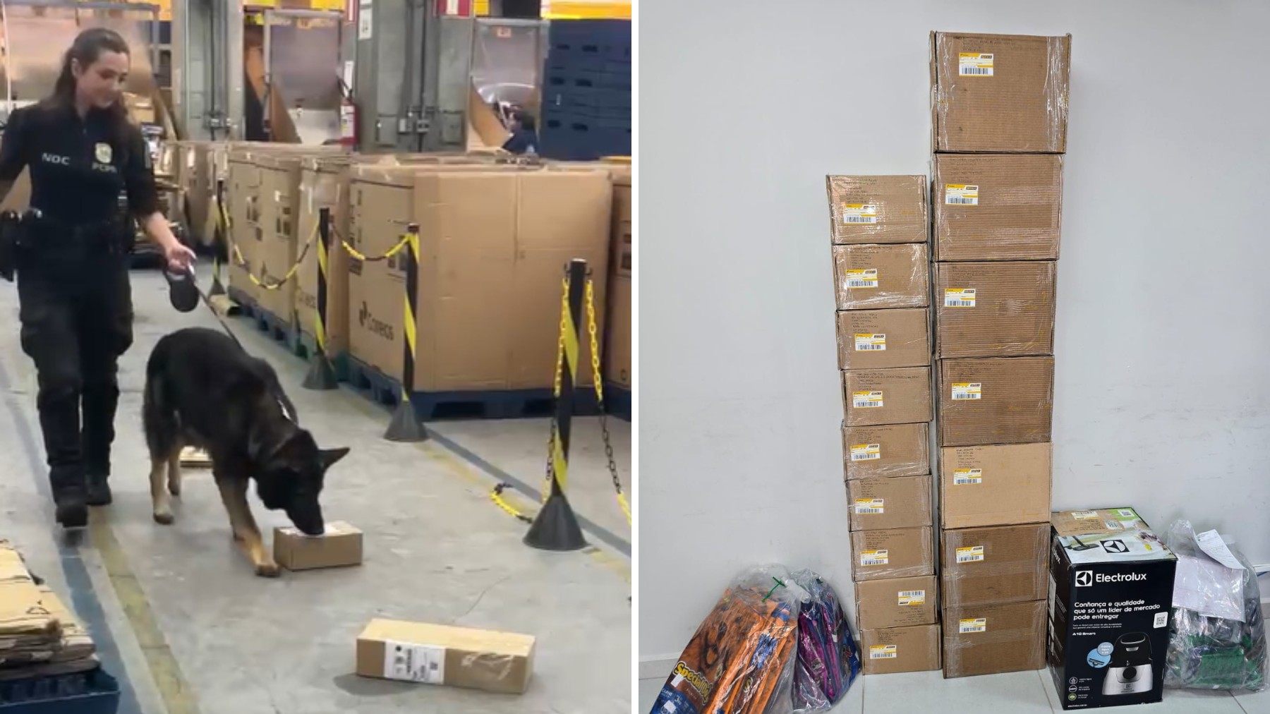 Quadrilha que enviava drogas pelos Correios para todo o país é alvo de 59 mandados em operação policial no Paraná