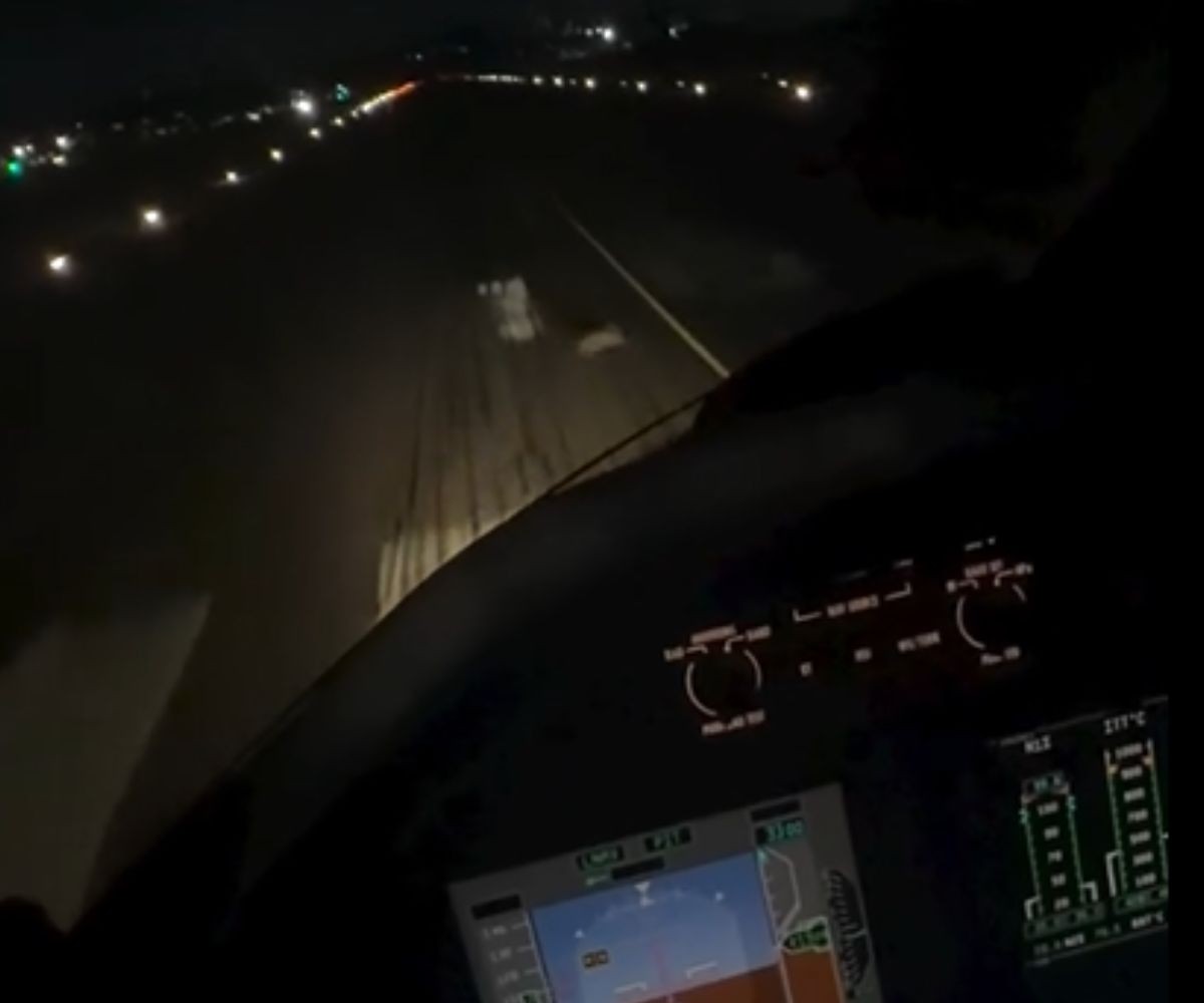 Coelho invade pista durante pouso em Campinas e piloto brinca: ‘Todos saíram sãos e salvos’