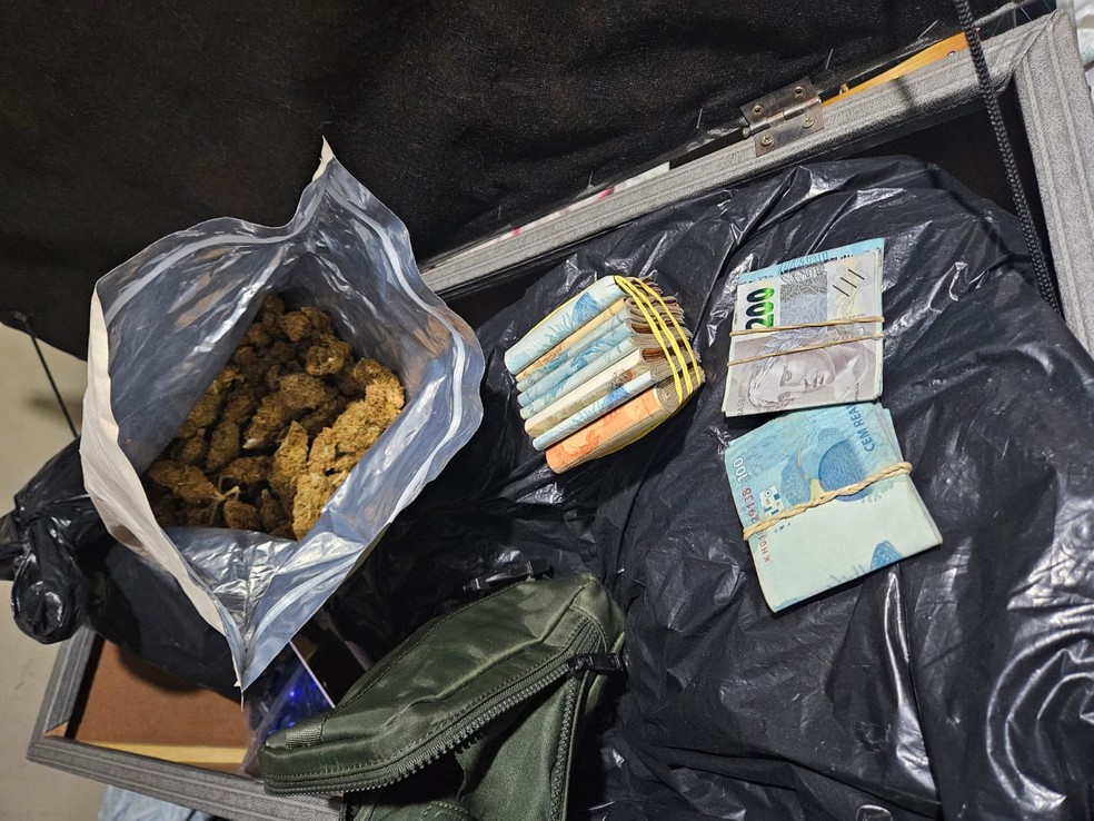 Cinco tipos de drogas são apreendidos em operação em Indaiatuba — Foto: Baep