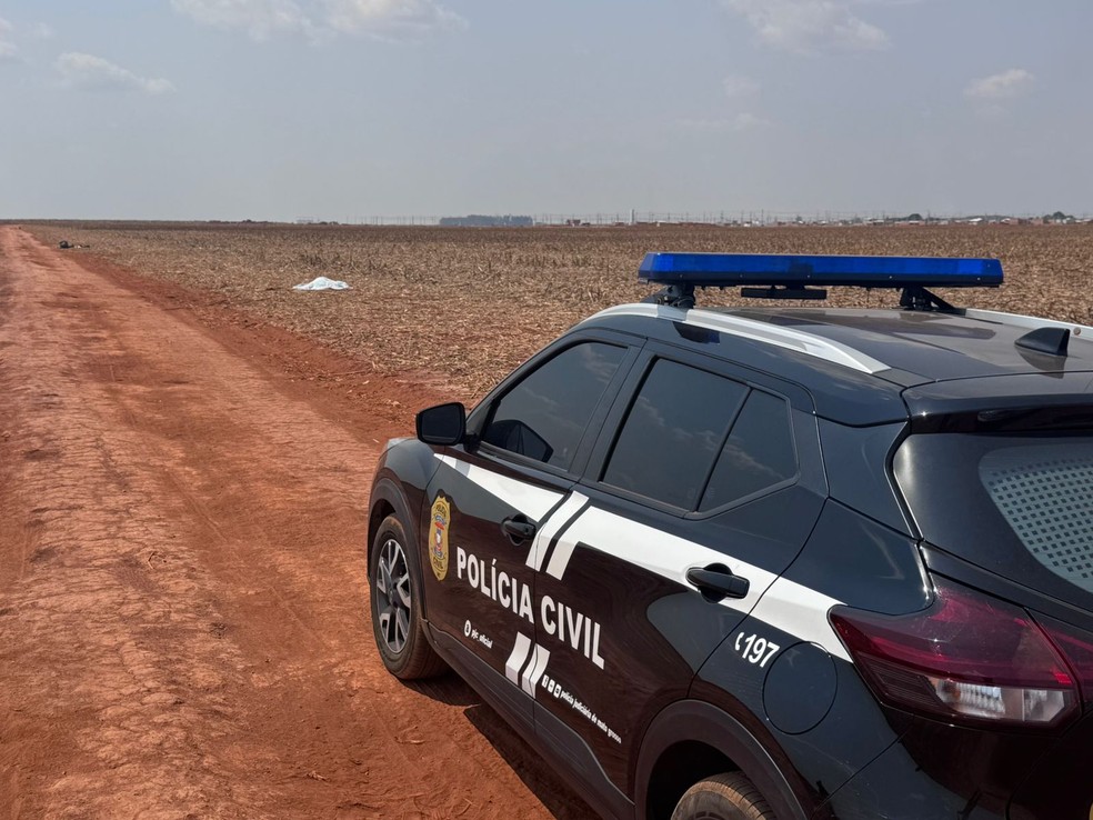 Corpo da vítima foi encontrado em milharal em MT — Foto: Portal Campo Novo
