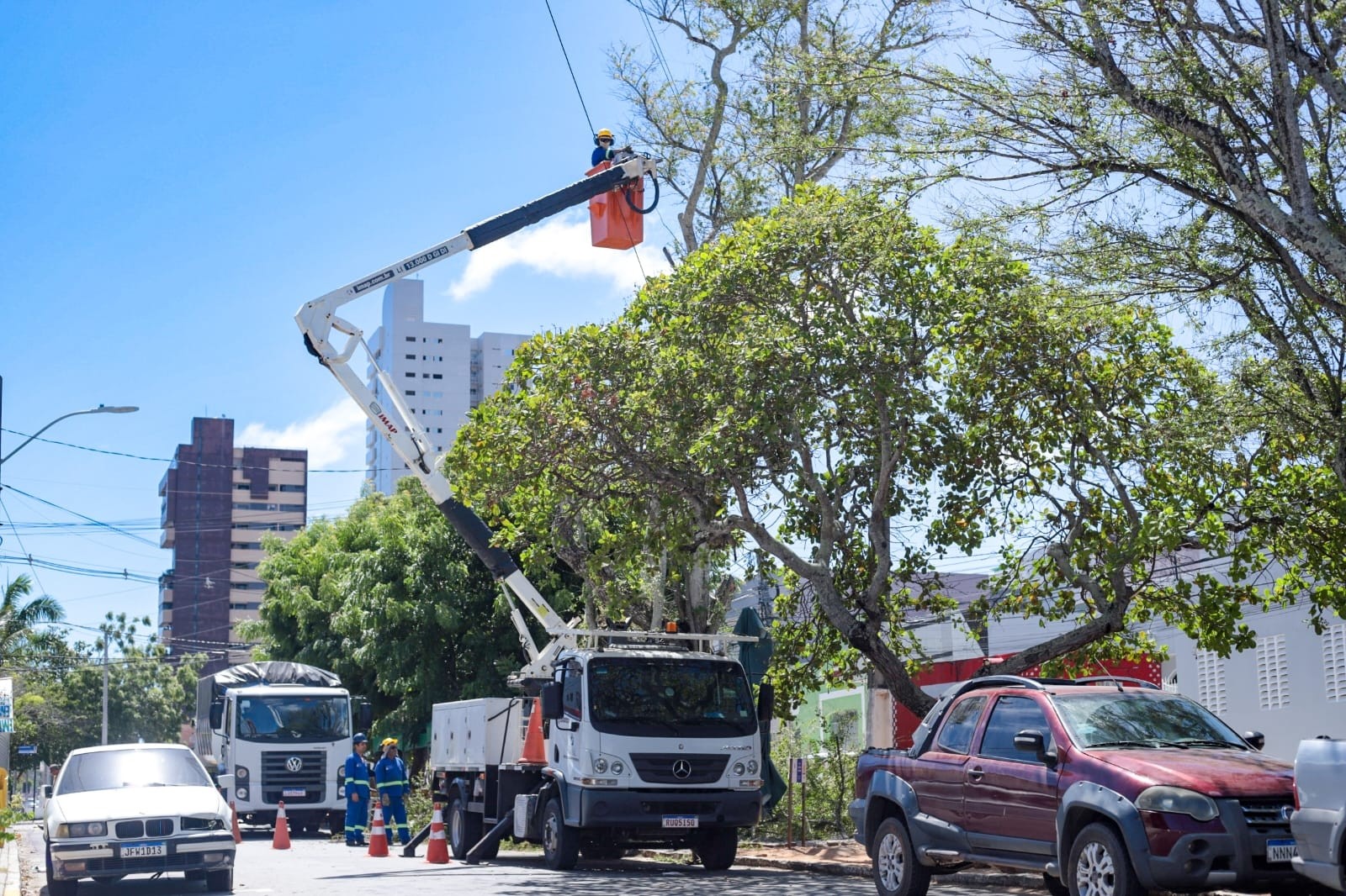Natal mantém contrato de R$ 11 milhões por ano para podas de árvores com empresa considerada inabilitada em licitação