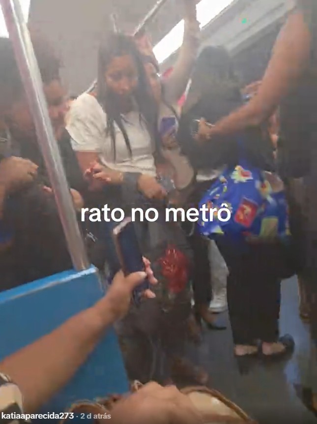 Rato entra em vagão feminino no Rio, e vídeo do desespero de passageiras viraliza: 'O rico não se diverte assim'