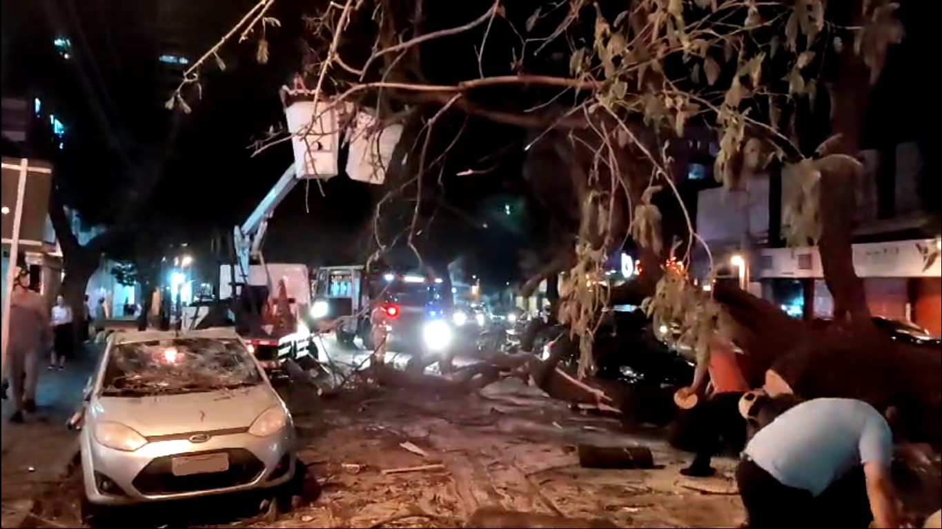 VÍDEO: Caminhão derruba árvore em seis veículos em Maringá; duas pessoas ficaram feridas