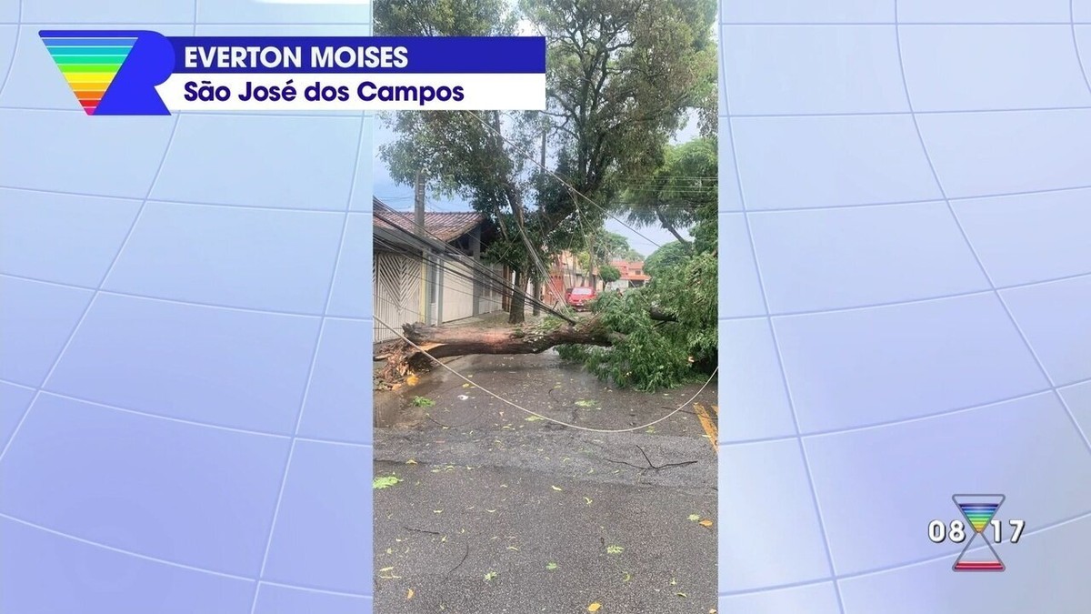 Temporal derruba ao menos 10 árvores em São José dos Campos