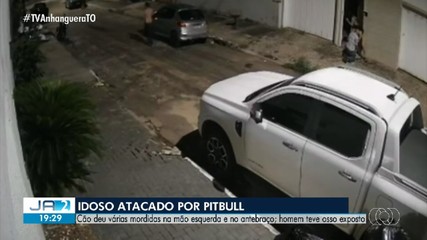 Idoso fica gravemente ferido após ataque de pitbull em Palmas