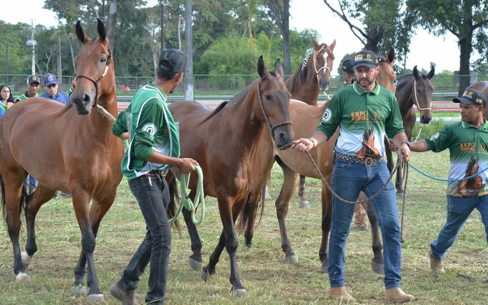 Expo Portal reúne exposição de cavalos, leilões e atrações culturais em Feira de Santana; veja programação
