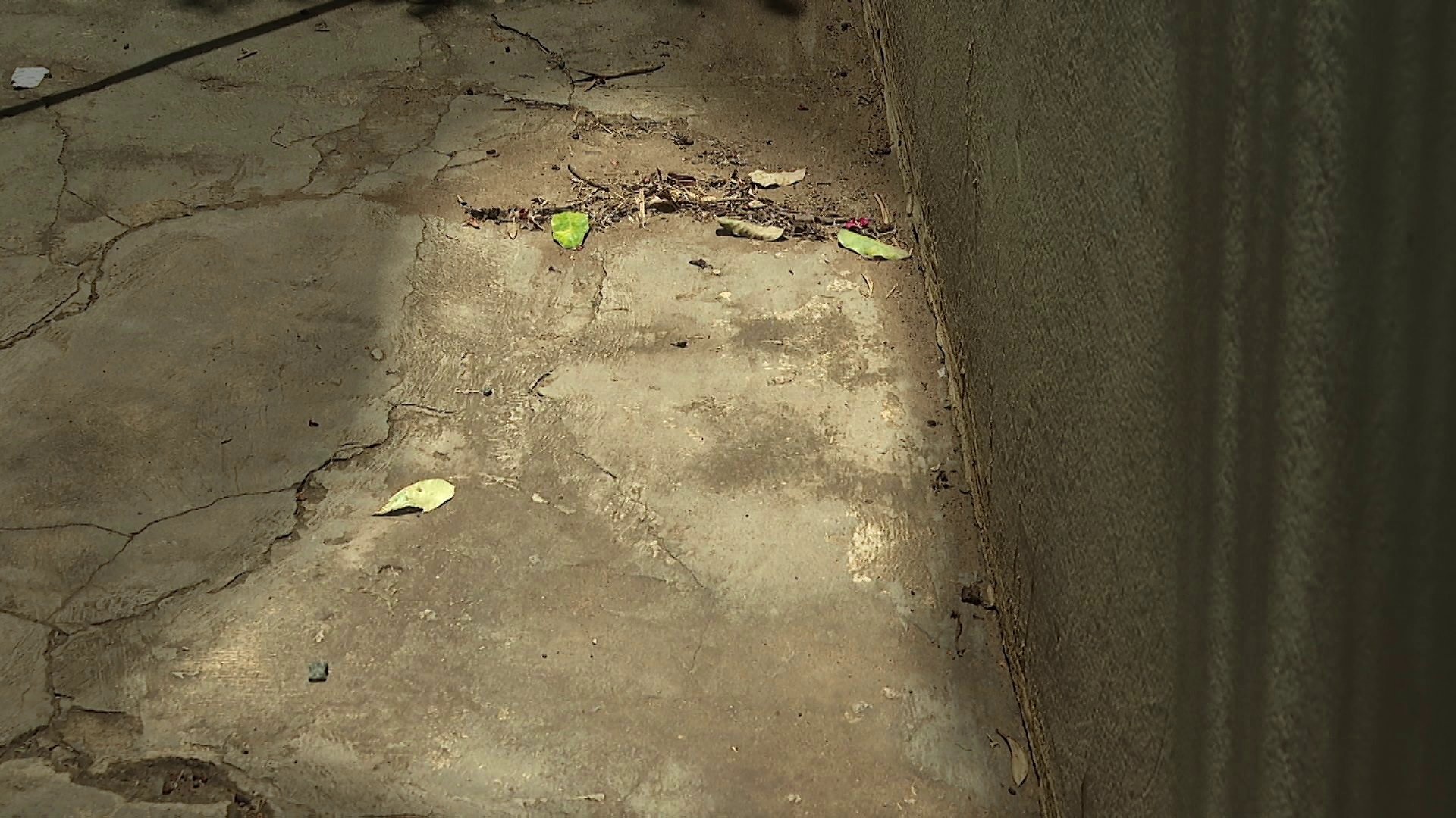 Imagem misteriosa em calçada atrai fiéis e intriga moradores no interior de SP; o que você vê?