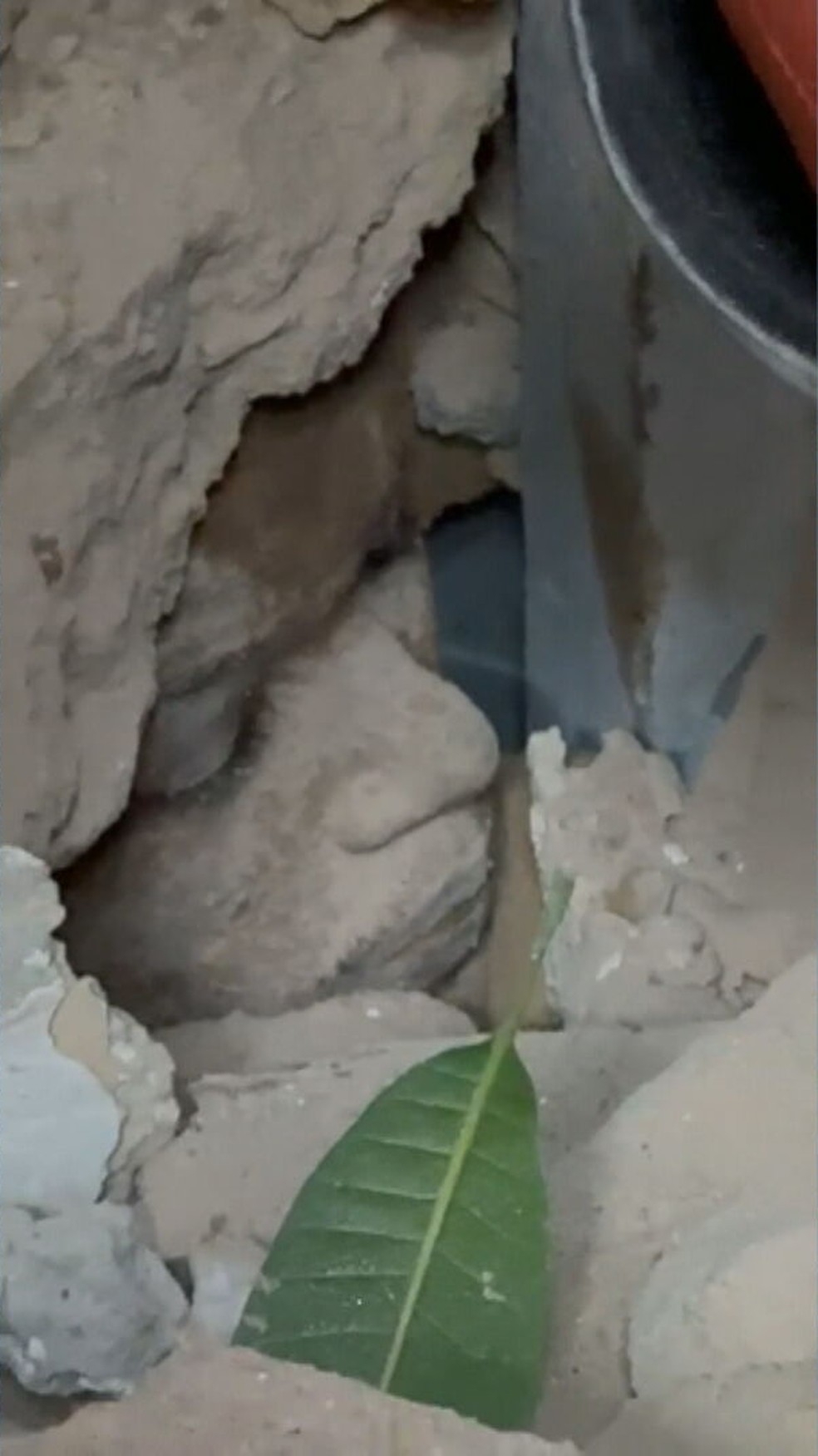 Feirante é retirado de escombros no Catete após 5 horas — Foto: Reprodução/TV Globo