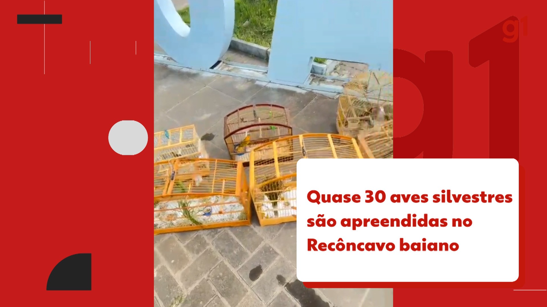 Vídeos do g1 e TV Bahia - segunda-feira, 15 de setembro de 2025