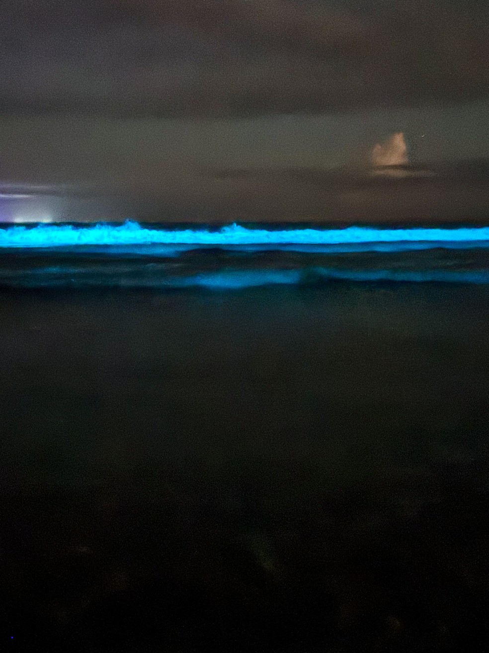 Mar azul na Praia de Itamambuca, em Ubatuba — Foto: Leonardo da Costa Dantas/Arquivo pessoal