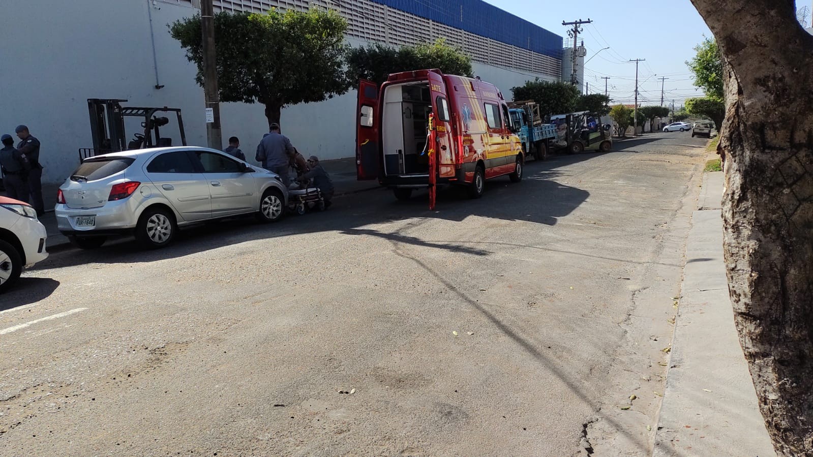 Idosa de 83 anos é atacada por cachorro em bairro de Rio Preto