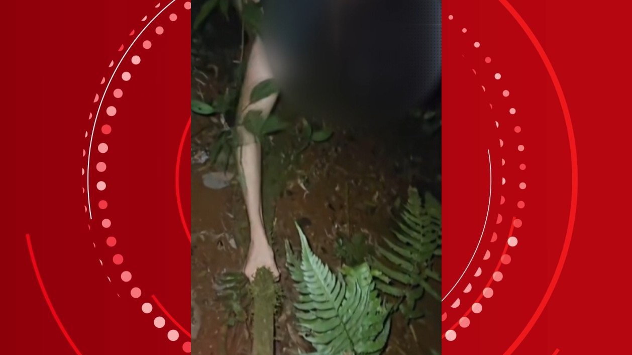 Jovens se perdem no Jardim Botnico de Londrina e bombeiros fazem resgate usando localizao de aplicativo de mensagem