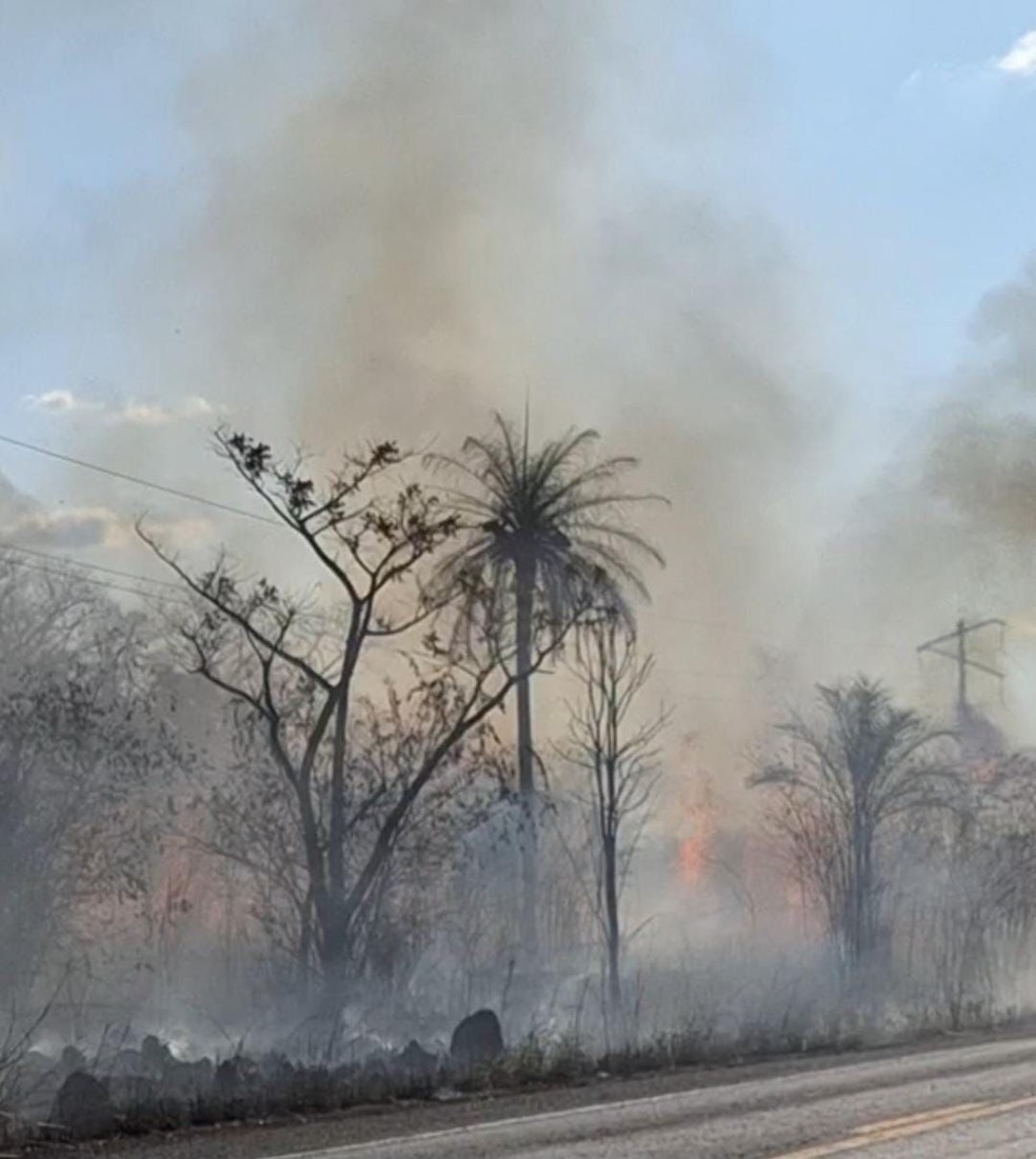 Maranhão é o 2º estado com mais focos de queimadas no Brasil, aponta INPE — Foto: Divulgação/Equatorial Maranhão