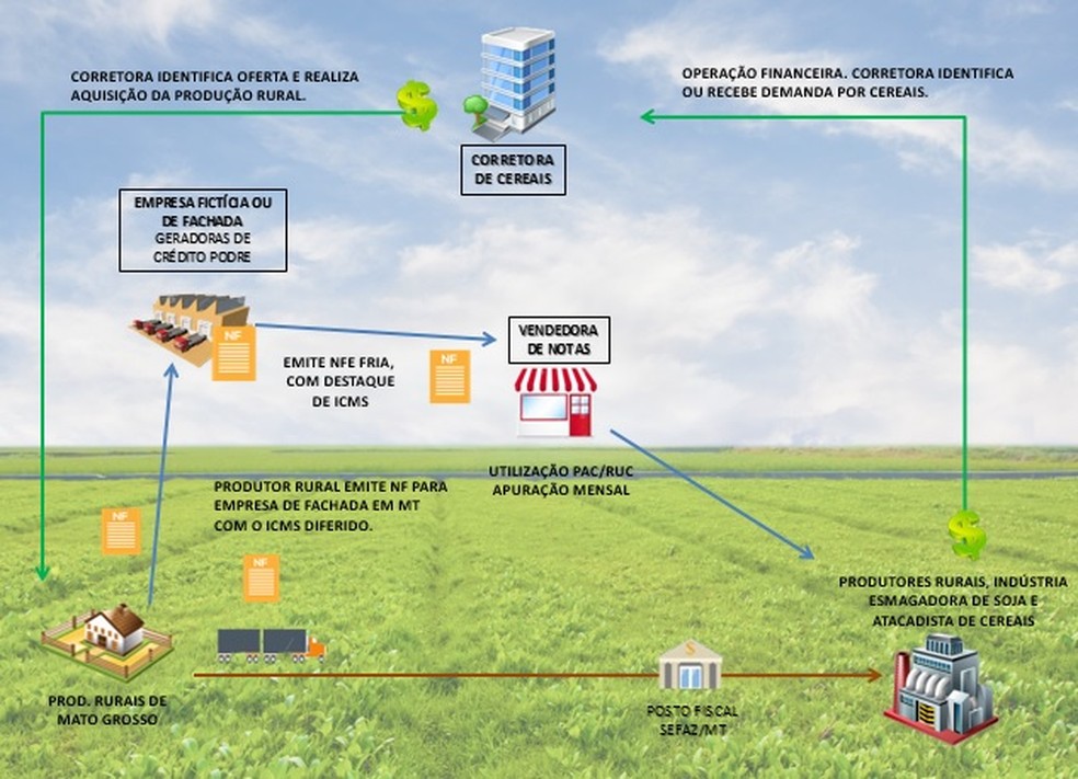 Organização criminosa burlava o sistema para sonegar imposto — Foto: Polícia Civil-MT/ Divulgação