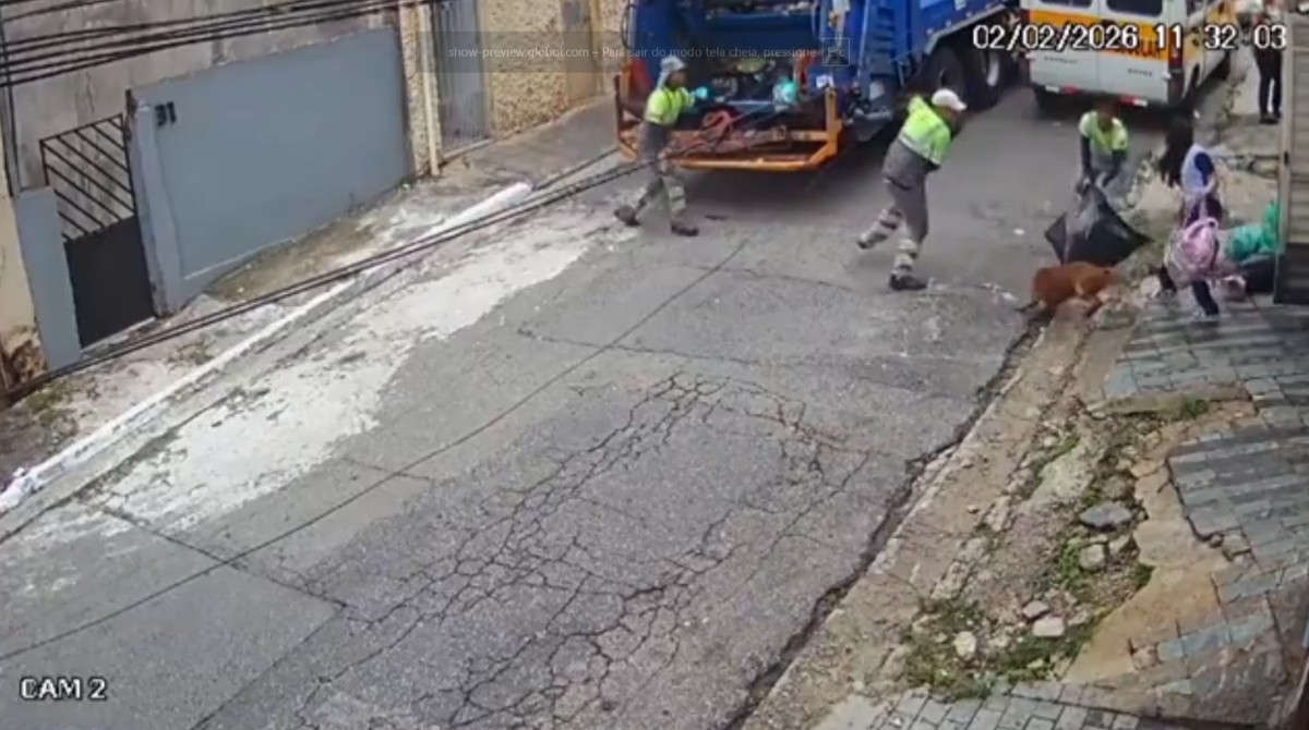 VÍDEO: Cão pitbull escapa de casa e ataca coletores de lixo no Jabaquara, na Zona Sul de SP