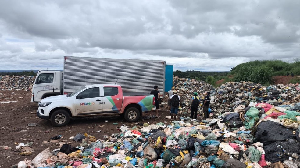 PRF apreende mais de 4 toneladas de peixes impróprios para consumo no MA — Foto: Divulgação/PRF-MA